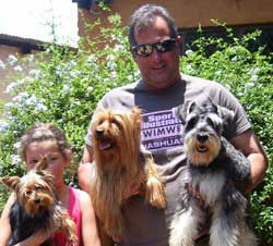Bella, Mojo and Oscar