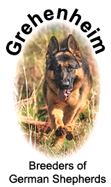 Grehenheim, Breeders of German Shepherds