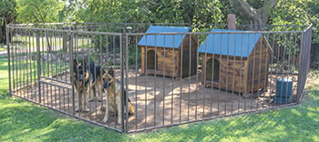 Kennel